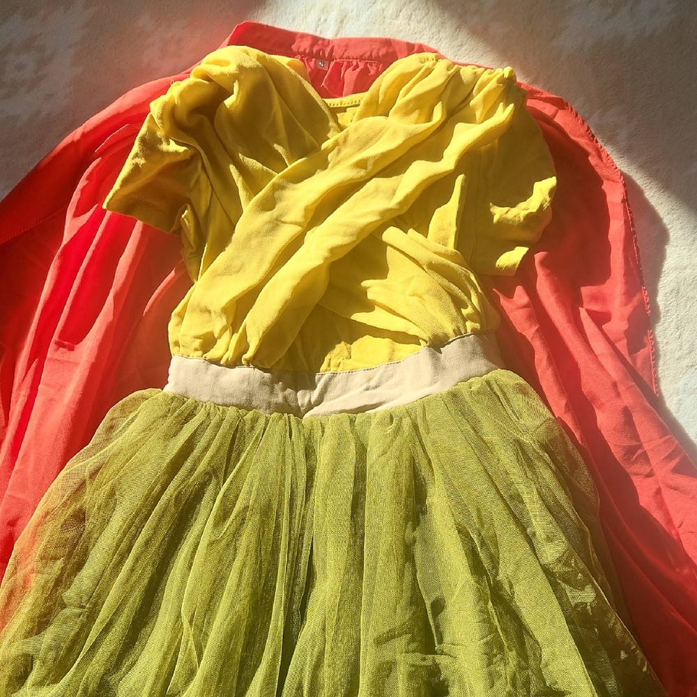 Taylor Joelle Dragon Princess Dress with Cape Raya Size 8